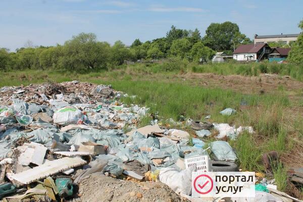 Фото Вывоз мусора