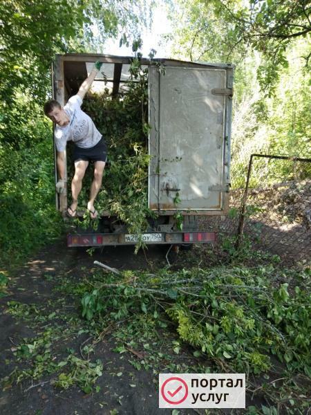 Фото Вывоз мусора