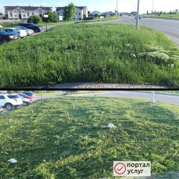 Фото Покос травы
