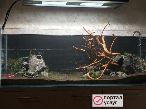 Фото Обслуживание аквариумов