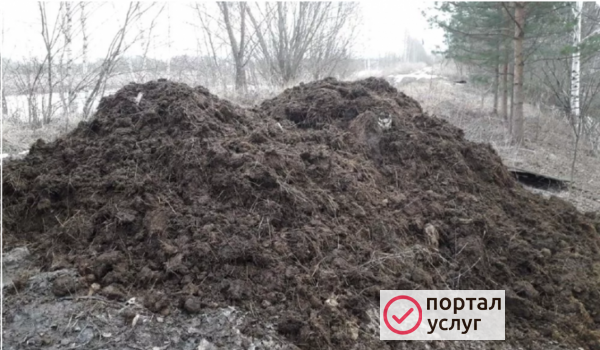 Фото навоз коровяк 