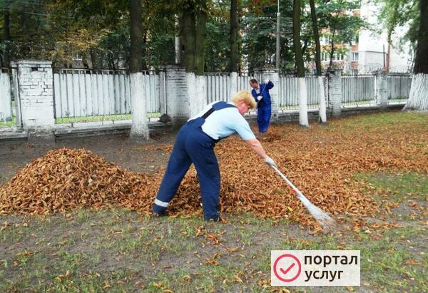 Фото Вспашка земли