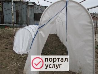 Фото Парники 