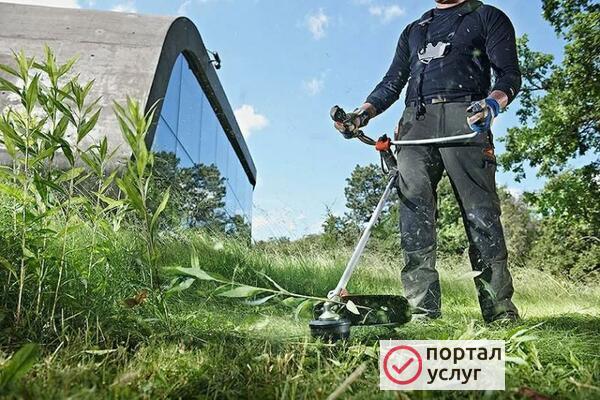 Фото Покос травы