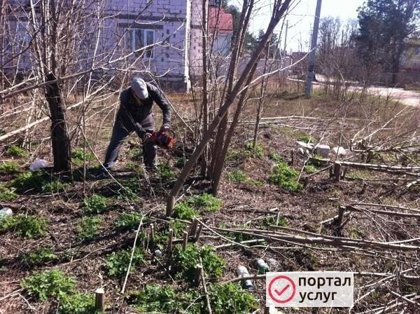 Фото Уборка дачного участка