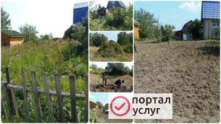 Фото Восстановление сада, выкорчевка, Сварка