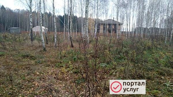 Фото Покос высокой травы 