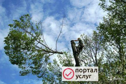 Фото Облагораживание участков