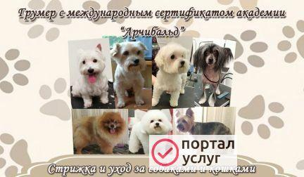 Фото Услуги ухода за питомцами