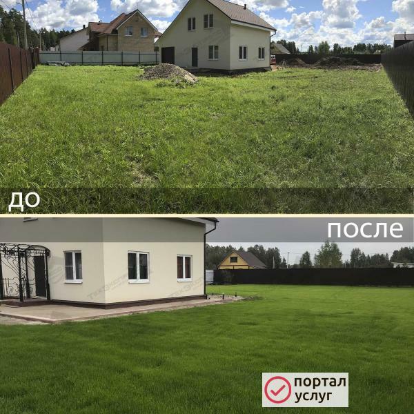 Фото Газон посевной и рулонный