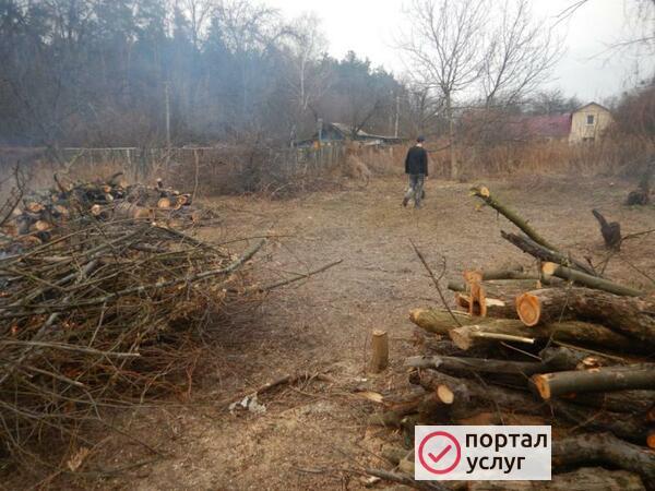 Фото Уборка дачных участков