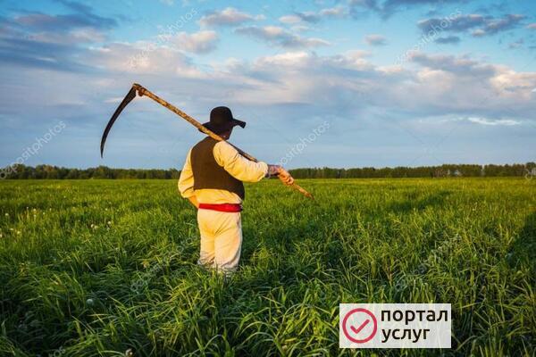 Фото ПОКОС ТРАВЫ!