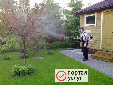 Фото Опрыскивание сада