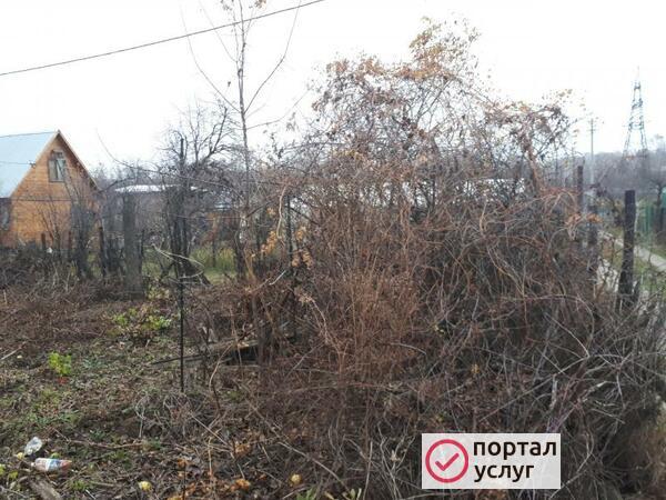 Фото расчистка дачных участков 