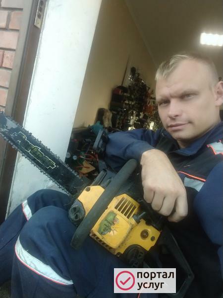 Фото Спил деревьев,расчистка участков