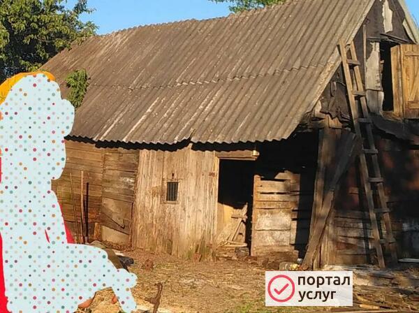 Фото ломаем дома сараи вывоз мусора