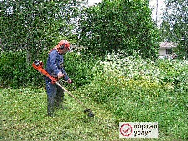 Фото Покос травы 
