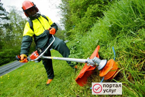Фото Покос травы,спил,уборка участков