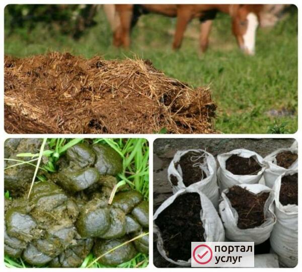 Фото Чернозем,земля,навоз