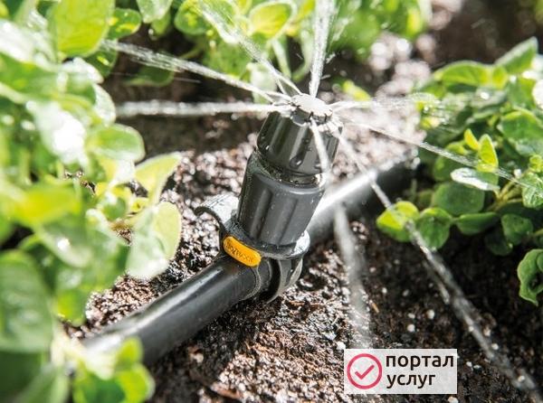 Фото Автополив газона Белгород