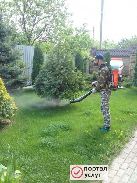 Фото Обработка от вредителей и болезней