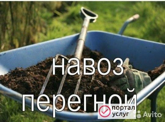 Фото Навоз для огорода