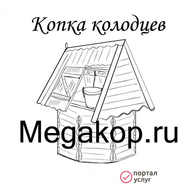 Фото Чистка колодцев 