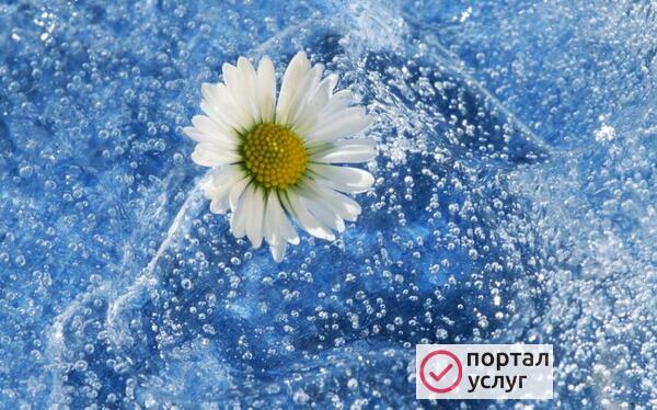 Фото Уборка