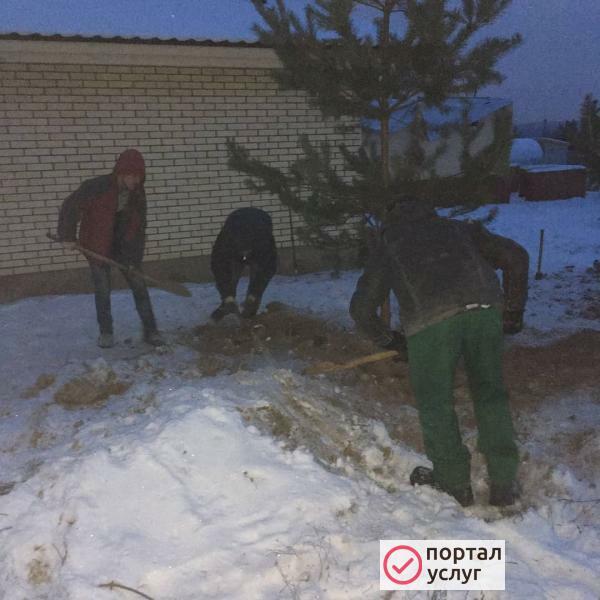 Фото Земельные работы 