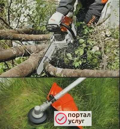 Фото Сад, благоустройство
