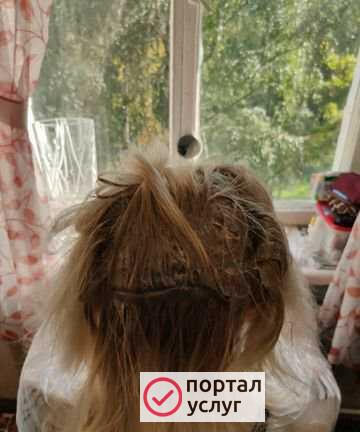 Фото Стрижка и окрашивание
