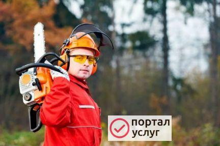 Фото Спил деревьев. Расчистка участков