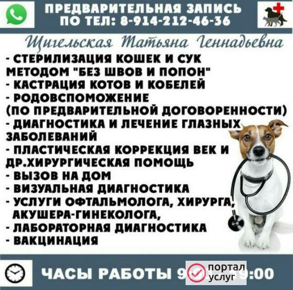 Фото Ветеринарный врач