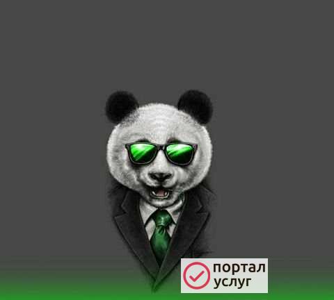 Фото Компьютерная помощь