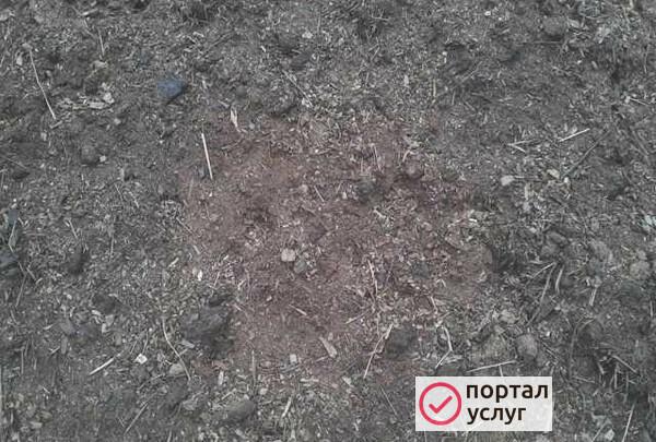 Фото Конский навоз, перегной