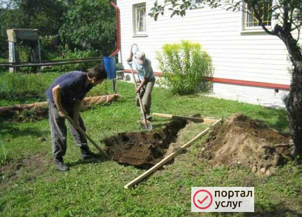 Фото Помощь по дому