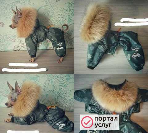 Фото Пошив одежды для собак