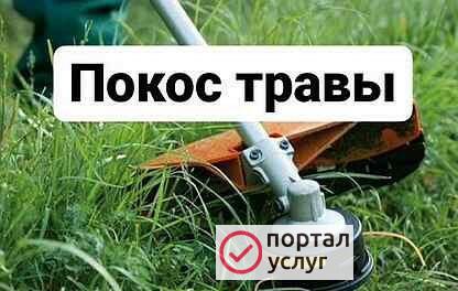 Фото Покос травы триммером