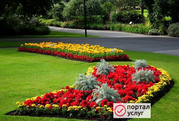 Фото Вывоз мусора - уборка территории