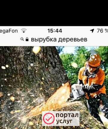 Фото Вырубка,обрезка деревьев