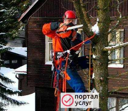 Фото Спил обрезка деревьев прфессионаьно
