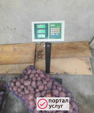 Фото Картофель оптом и в розницу