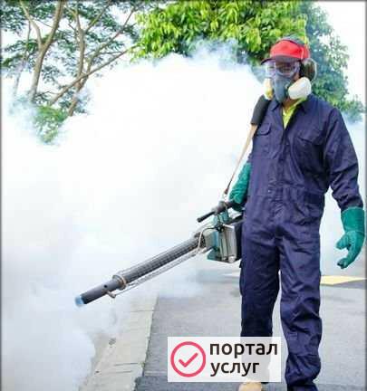 Фото Дезенсекция насекомых