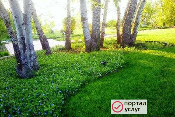 Фото Приму грунт