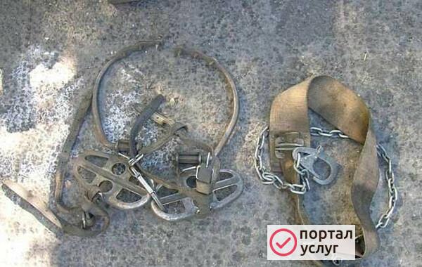 Фото Аренда инструмента