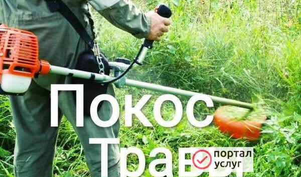 Фото Покос травы