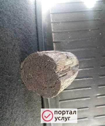 Фото Катализатор приём