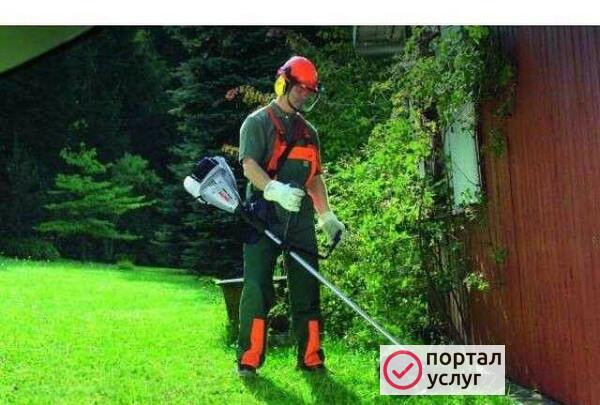 Фото Скашивание травы