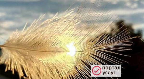 Фото Чистка пуха пера.murmanpero