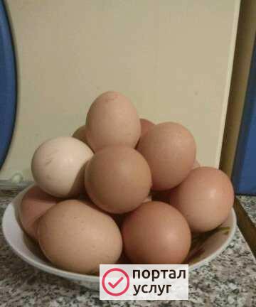 Фото Домашнее яйцо